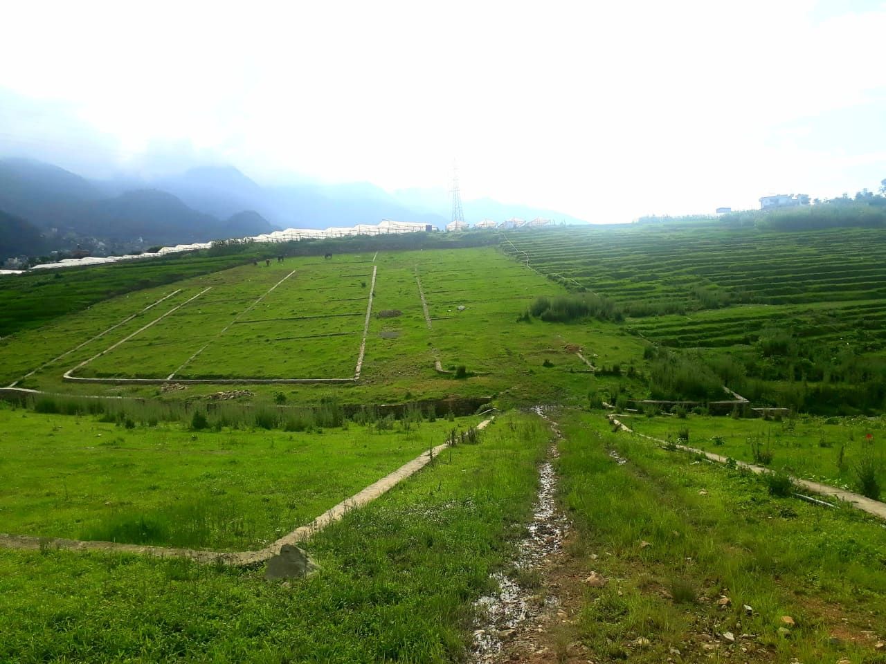 Land On Sell. Salyansthan Kirtipur     