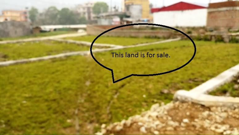 Plotting Land for sale in Kirtipur