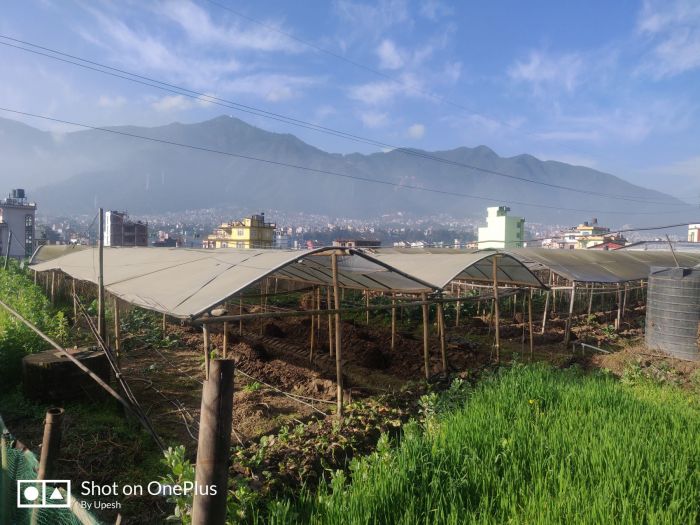 Balambu kalapani Chandragiri 12