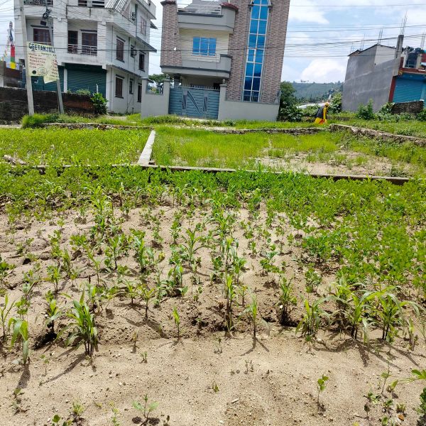 Residential Land on sell at Kavresthali Bus Station, KTM