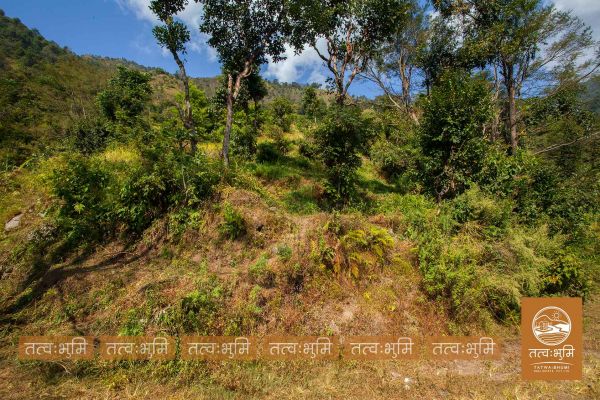 16 Ropani land for sale in Kalleri - Nuwakot.