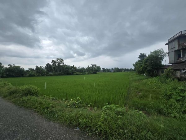 Land fo Sale @ Bharatpur -17, Chitwan Land fo Sale @ Bharatpur -17, Chitwan