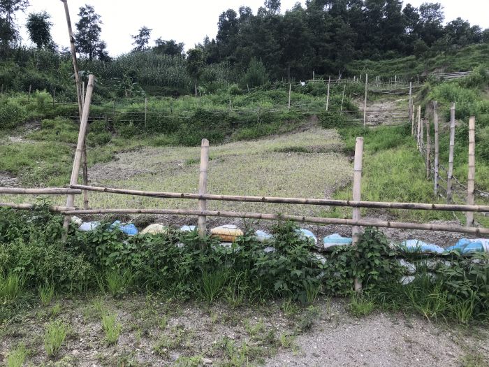 Land on sale in Nyapati Sundarijal.