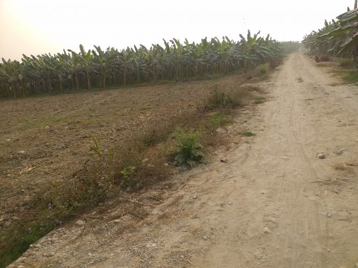  Bandaigareko Nijgadh Airport Najik 10 Dhur Jagga 40 Lakh Ma Bikri