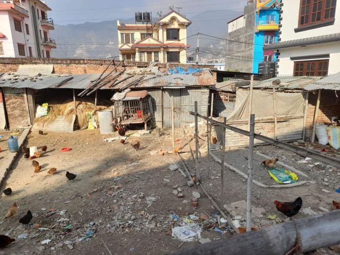 URGENT Rumale Jagga sale in CHAPALI (Mathilo bhangal)