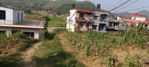 HOUSE FOR SALE IN JAMUNE, TANAHUN.