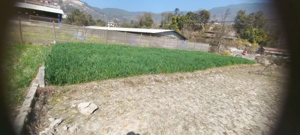 Land nice place in toka