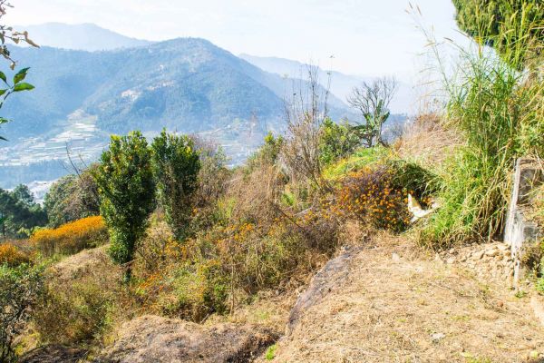 30 aana land for sale in Ramkot 8 Dadapauwa Nagarjun