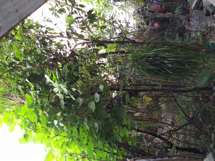 Land Sale in Pokhara.