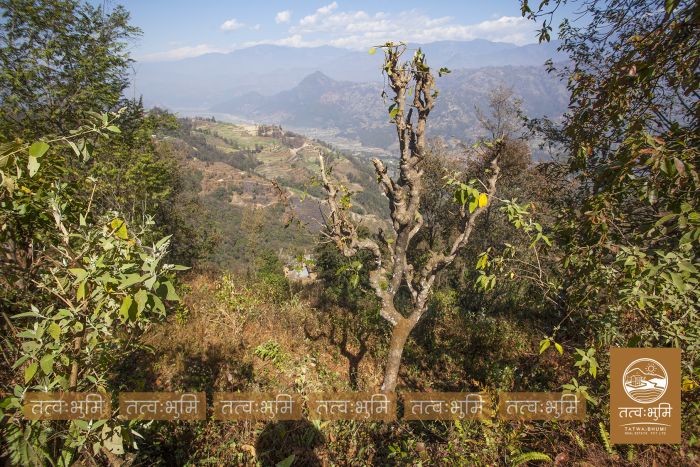 9 Ropani land in Naraynthan, Nuwakot on Sale.
