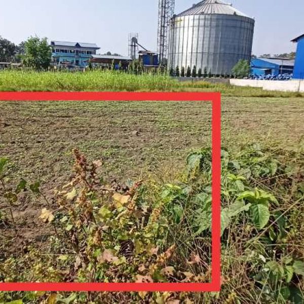 Land for sale in the heart of Chitwan.