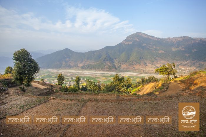 11 Ropani land near Chahare, Nuwakot on Sale.