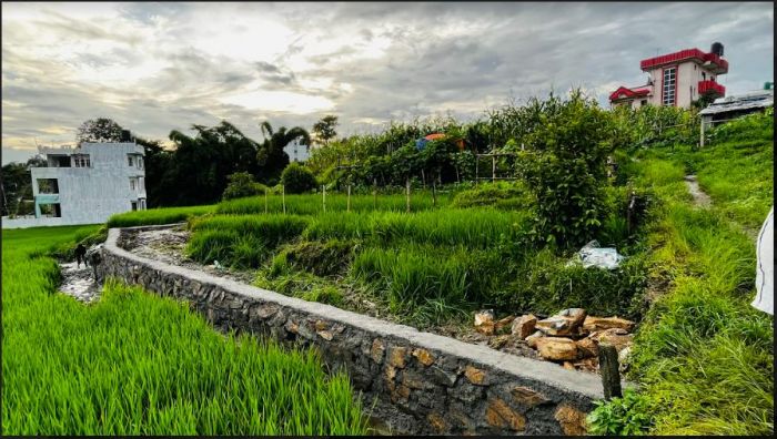 Land for Sale in Mulpani 5 Aana 1 Paisa