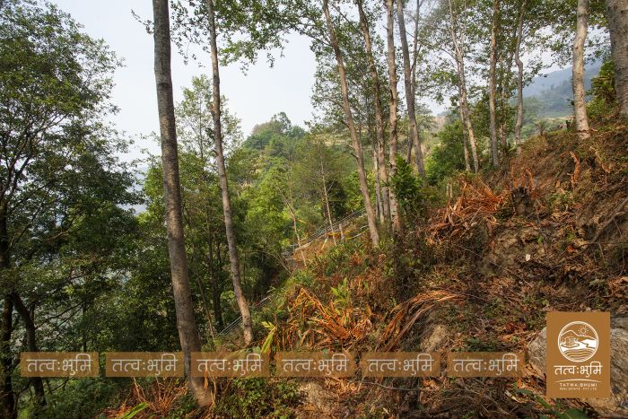 5 Ropani land in Ranipauwa for Sale