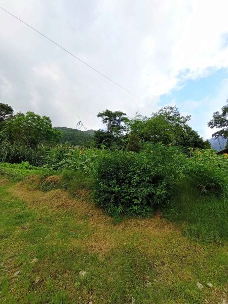 land on sale at budhanilkantha