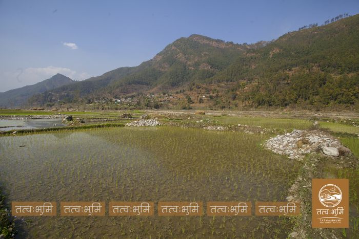2 Ropani land near Chahare, Nuwakot on Sale