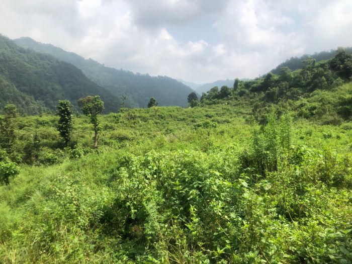 Commerial/Agricultural land  for sale in Nawalparasi