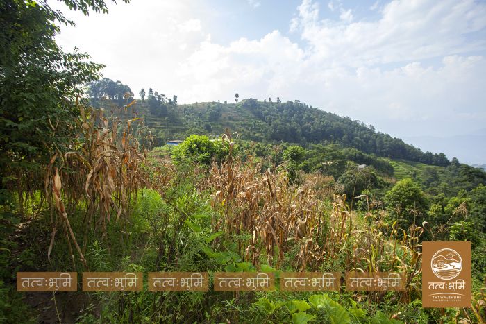 18 Ropani Highway Touched land Sale in 35 Kilo.