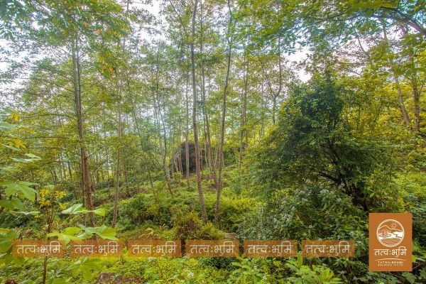 5 Ropani land for sale in Ranipauwa - Nuwakot 5 Ropani land for sale in Ranipauwa - Nuwakot
