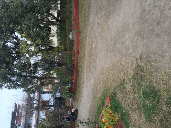 Land sale at Sifal Height