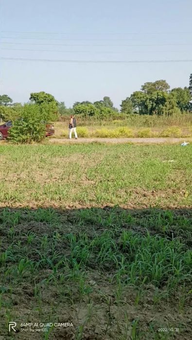 Land for sale in the heart of Chitwan