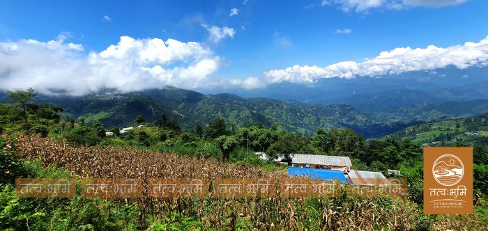 11 Ropani land on sale Ranipauwa, Kakani - Nuwakot