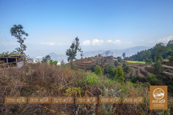 73 Ropani Land On Sale at KhariBhanjyang , Nuwakot