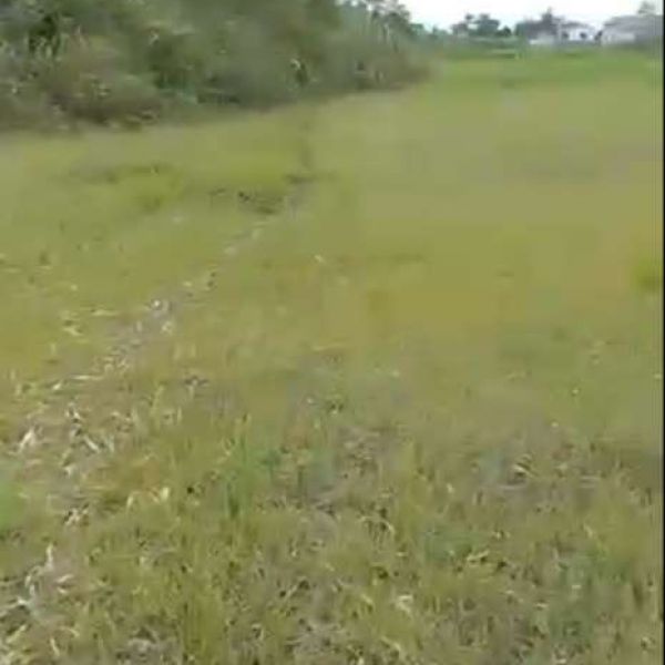 Land for sale at chitwan kumroj