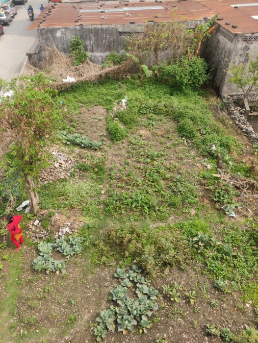 Pokhara special offer