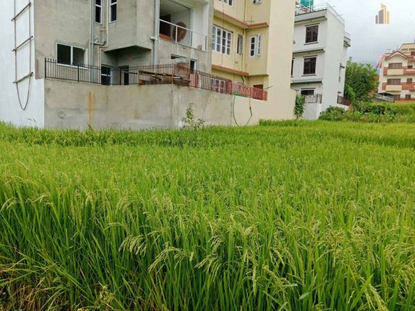 Land On Sale at Lamatar,  Lalitpur