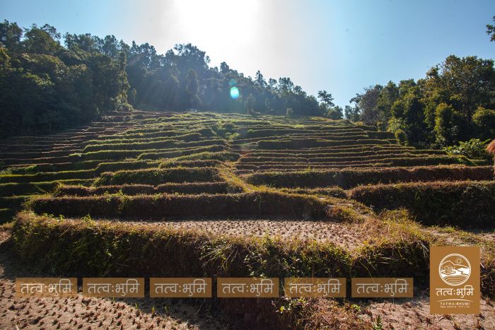 Triplex house on sale at Imadol