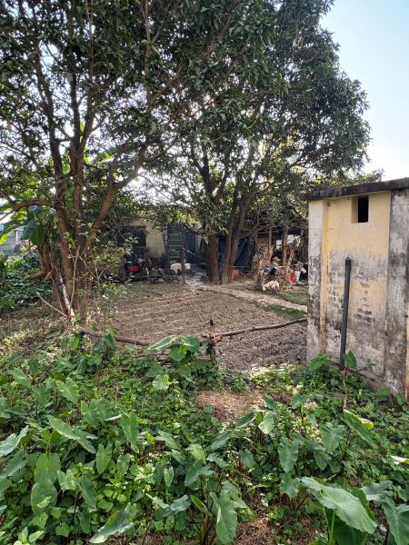 Land and house sell on Dhangadi 1 puspalalchwok 