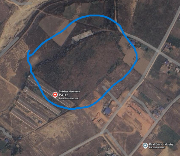 3 BIGA 5 KHATTA, 12 DURR. LAND FOR SALE. 