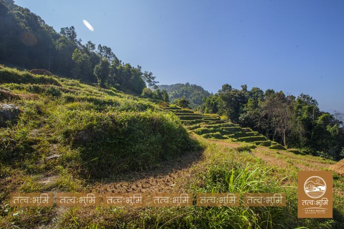 35 Ropani land for sale Katheri, Nuwakot.