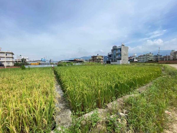 Land On Sale at Harisiddhi Gumbaj , Lalitpur