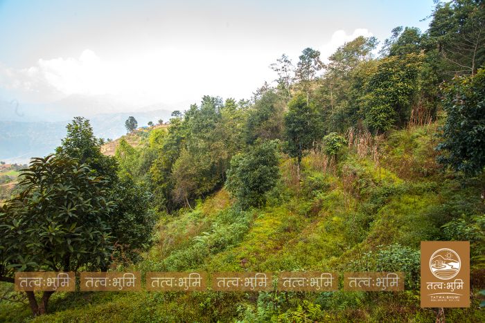 4 Ropani Land On Sale at KhariBhanjyang , Nuwakot.