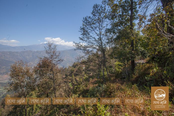 9 Ropani land in Naraynthan, Nuwakot on Sale.