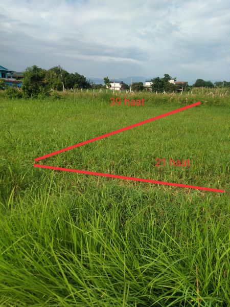 Bharatpur mahanagarpalika-4near shivaghat ko10 dhur ghaderi bikrima 