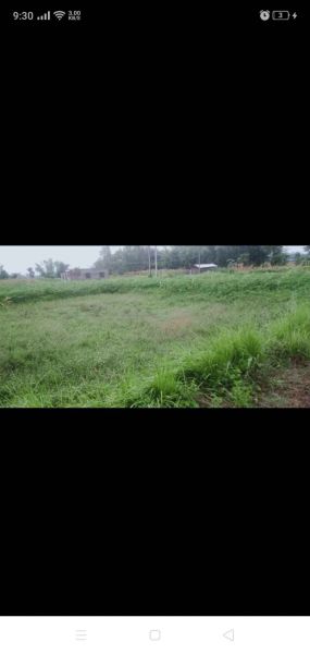 Land for sale 