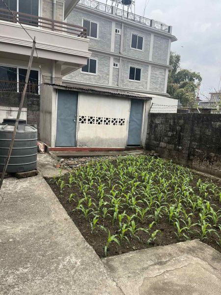 Beautiful House  in Pokhara (central location)