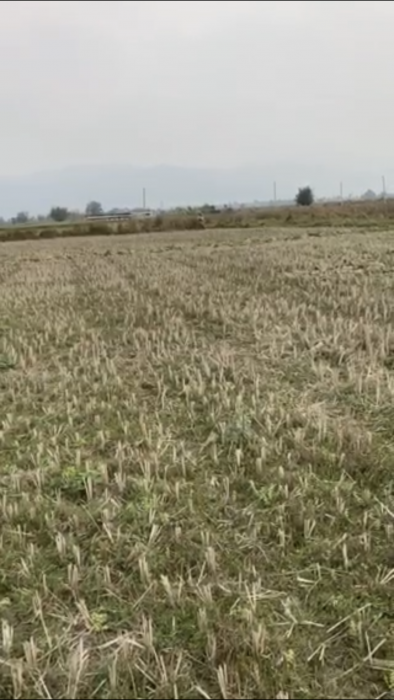 26 Kattha, Makrahar, Tillotamma, butwal