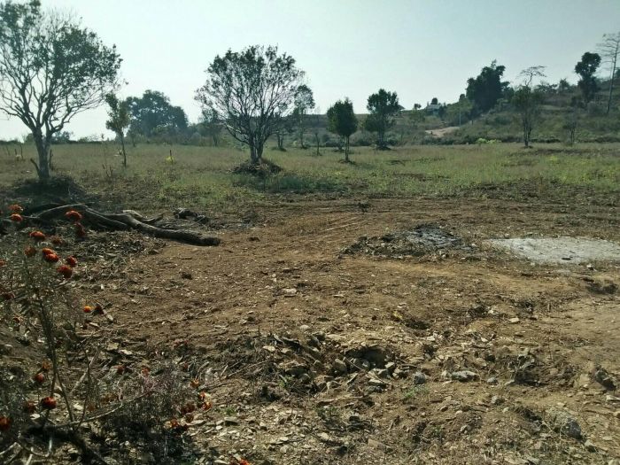 Land for Sale in Ratamate, Kabilas Hill, Chitwan