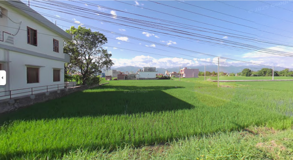 Land For Sale in Tilottama, Manigram, Rupandehi