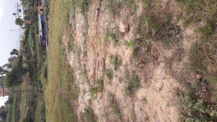 Land for sale at dhulikhel @ 6.5lakh per aana