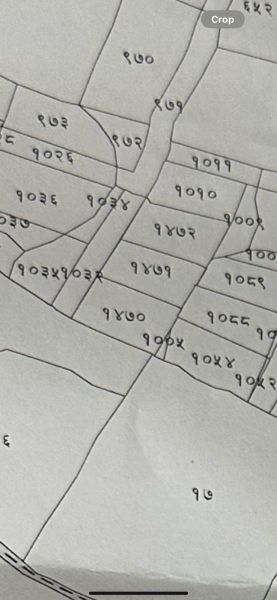36 lakh per Anna land sale in Harisidhi lalitpur 