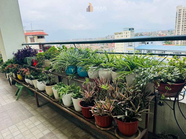 3 bhk apartment on rent at Classic tower, Hattiban