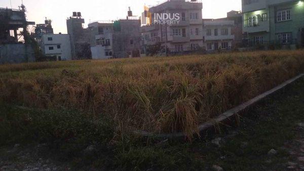 Land on sale at Tikathali, Imdol Land on sale at Tikathali, Imdol