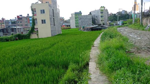 Land On Sale at Nikosera, Bhaktapur