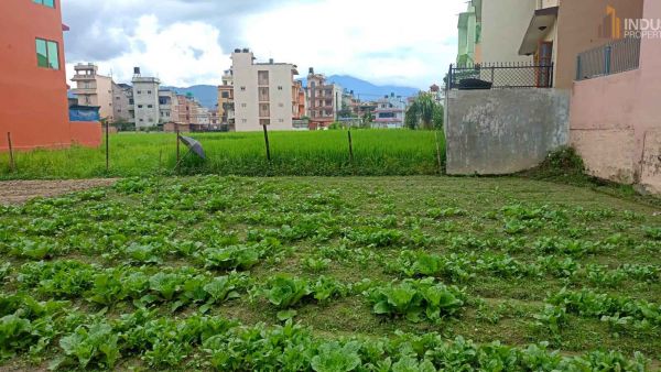 Land On Sale at Dhunchepakha, Bhaktapur