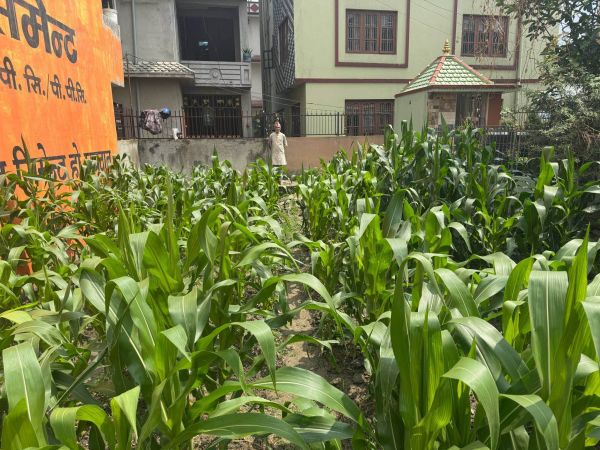 Land for sale in Thimi, Bhaktapur
